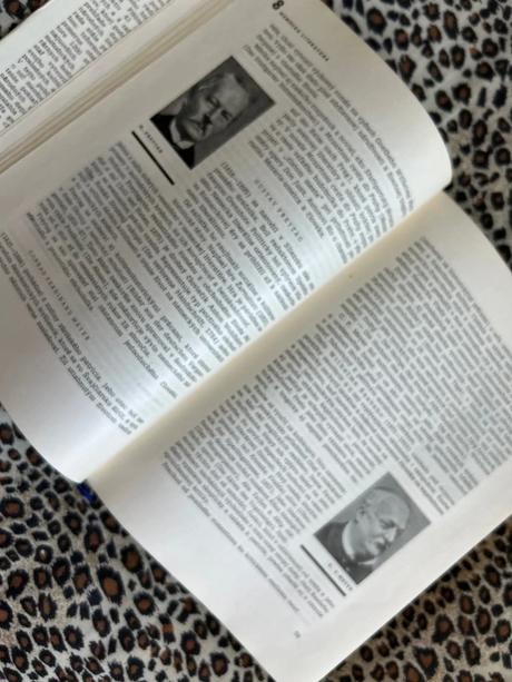 Dejiny svetovej literatúry 2 - kolektiv autorů, 