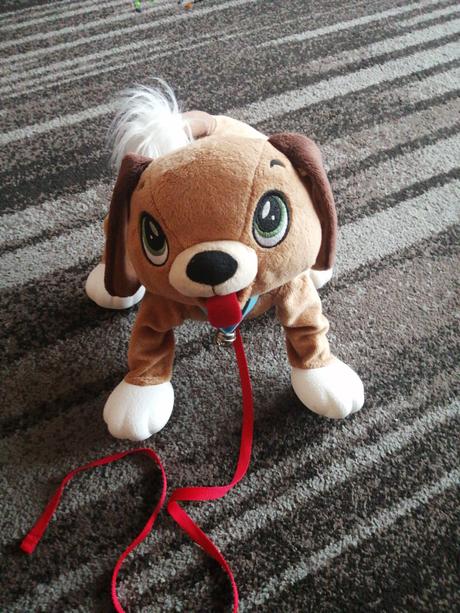 Mam na predaj psa floppyho, 