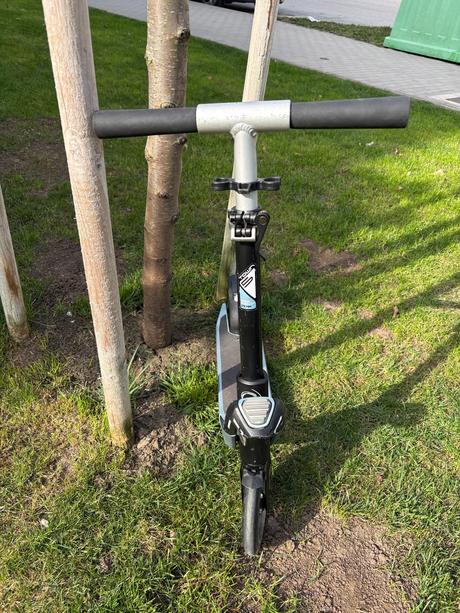 Kolobežka oxelo, oxelo