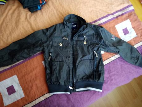 Prechodna bundička, lusa,110