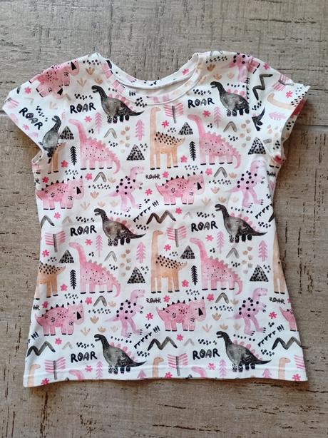 Tricko ruzove dinosaury, 104