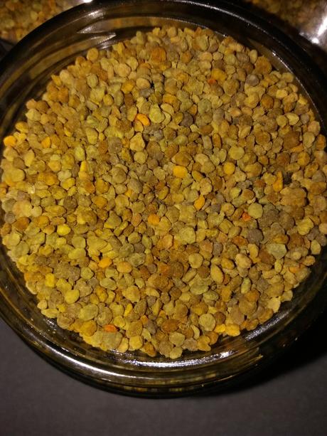 Včelí peľ (obnozkovy), 