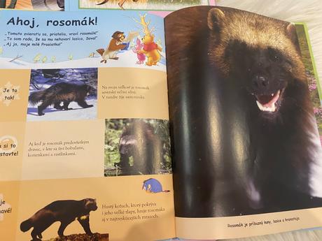 12 kníh encyklopédie, 