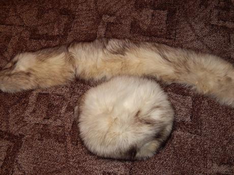 Pravá líška - čiapka a golier, s