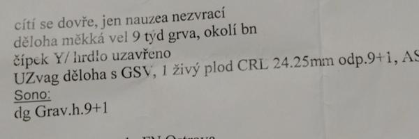 Maternica v 9. týždni