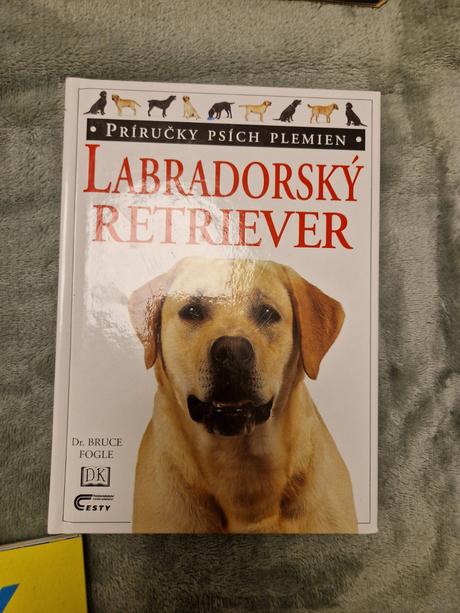 Labradorsky retriever, 