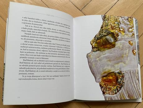 Vnútro otvorené dokorán jozef jurina za 3.5eur,