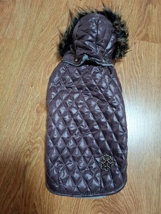 Obleček pre malého psíka, 