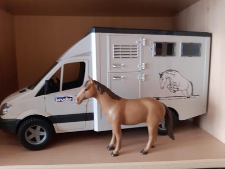 Super dodávka na prepravu koníkov,