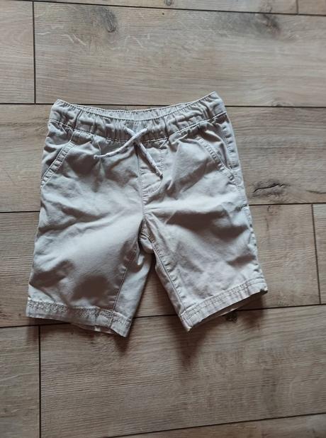 Palomino kratasky 104, palomino,104