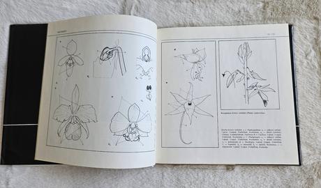 Kniha orchidey, j. zákrejs,