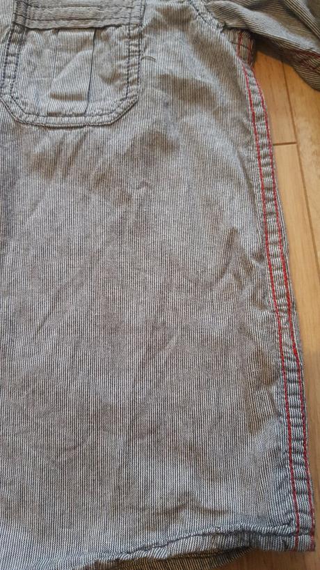 Pruhovaná kosela, rebel,104