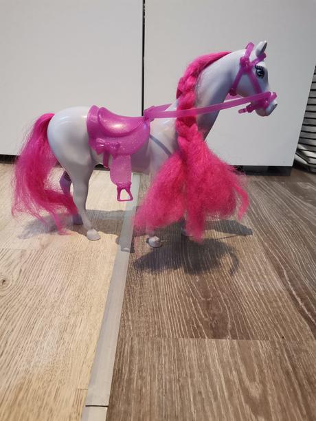 Koníky, cena spolu, 