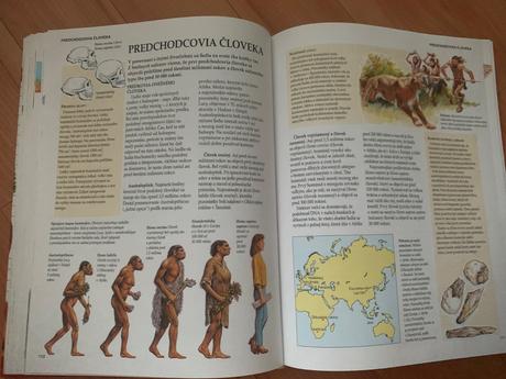 Skolska encyklopedia, 