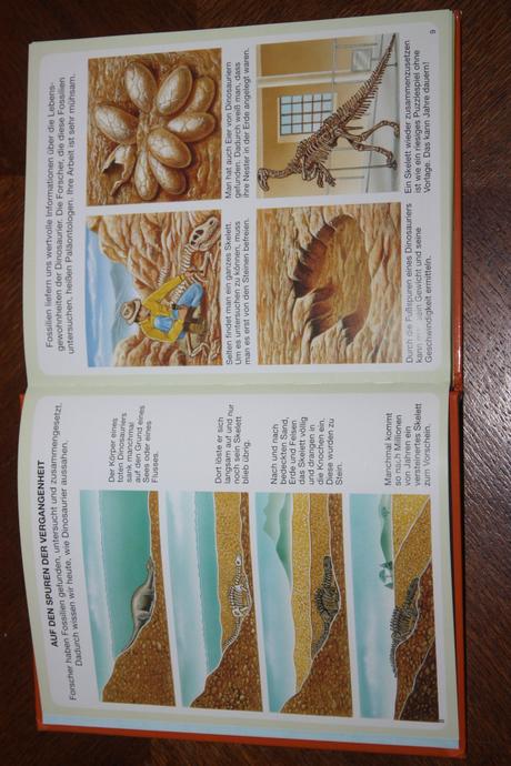 Dein buntes wörterbuch 5 ks, 