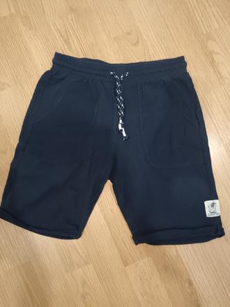 Kratasy, calliope,152