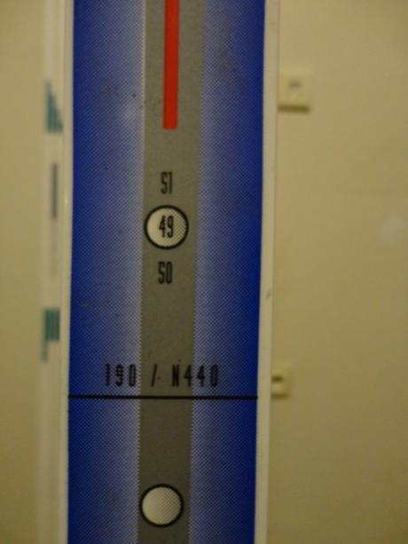 Bežecké lyže fischer - nové, fischer,170-180 cm