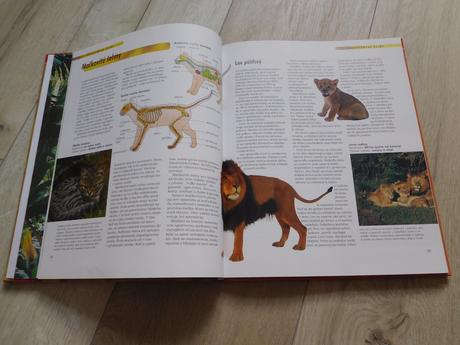 Cicavce---30 x 24 cm, 96 strán, 