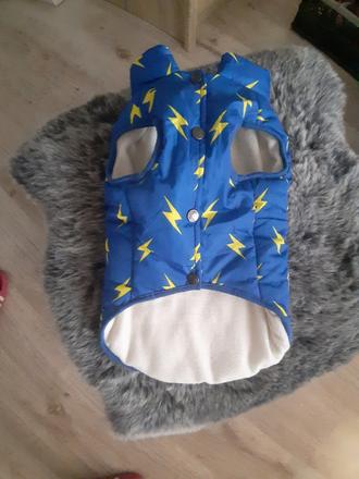 Bundička pre malé psíka,