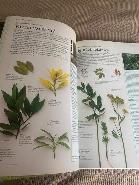 Lesley bremnessová byliny zdravie krása a radosť,