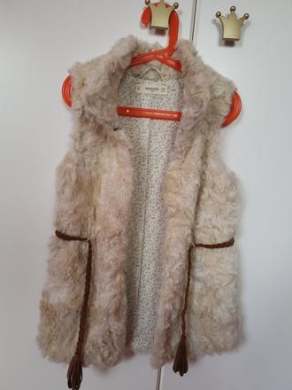 Vesta mango, mango,116