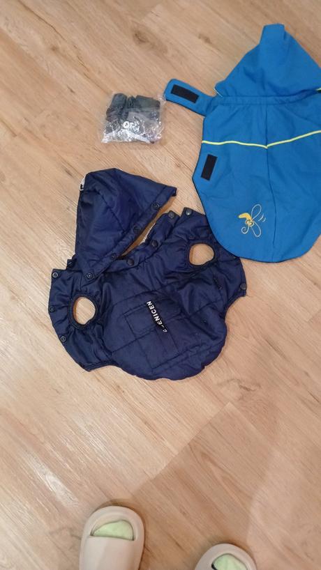 Veci pri malého psika, 