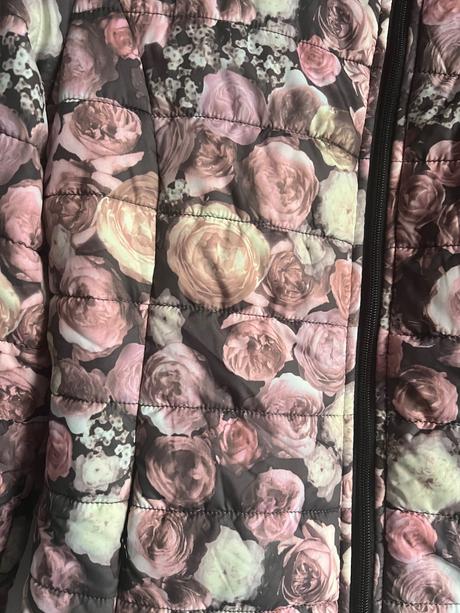 Jesena jarna bunda s ruzami kvety ruza, m