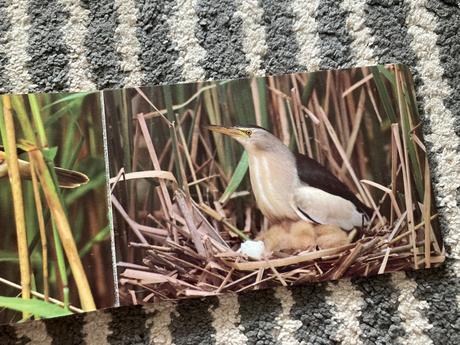 Pri vodičke, na vode /leporelo-prvé vyd.1989, 