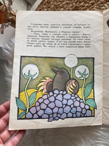 Čie sú to nohy чьи это ноги vitalij bianki (1973),