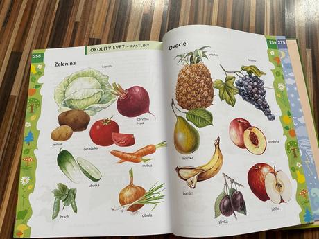 Encyclopedia predškoláka kniha, 