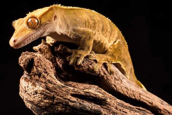 Plaz pre 15-ročné dieťa