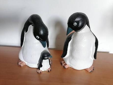 Sochy - rodina tučniak xl,