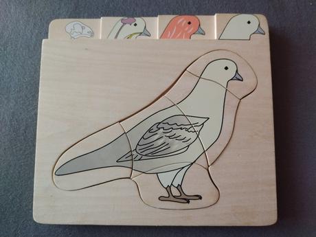 Viacvrstvové drevené anatomické puzzle holub, 