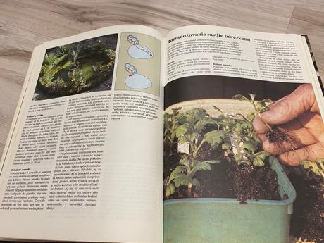 Krásna stará retro kniha jar v záhrade 1986, 