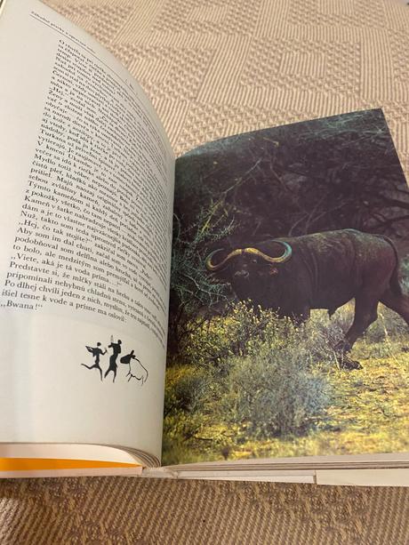 Krásna kniha o afrike safari pod kilimandžárom,