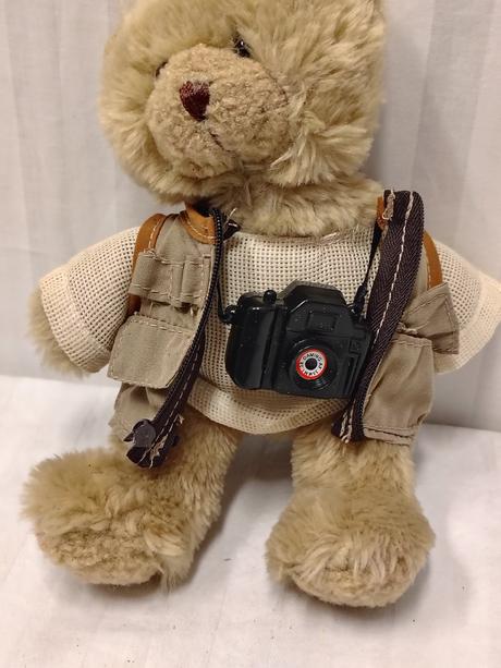 Zberateľ. sada 5ks medvedík the teddy bear collect, 