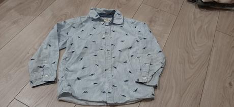 Kosela s dinosaurmi, h&m,110