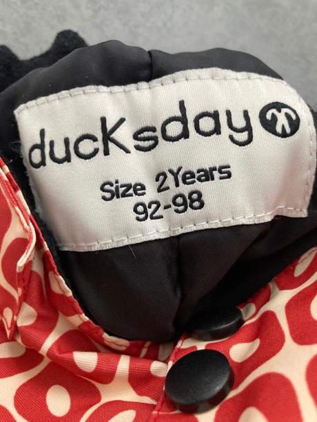 Oteplovacky, ducksday,92