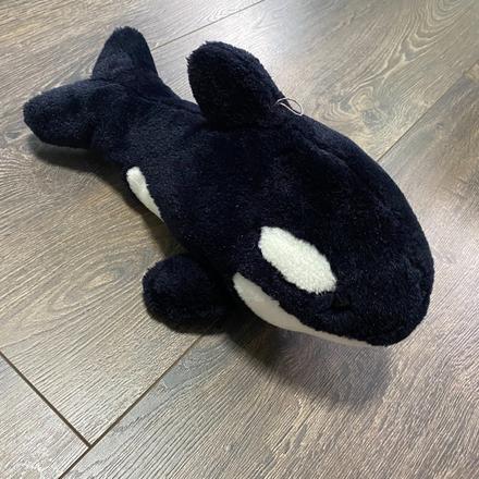 Plyšová kosatka,