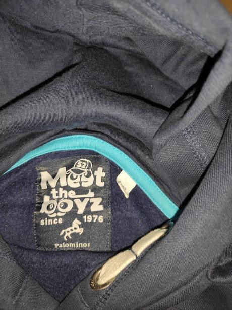 Mikina s dinosaurom, palomino,122