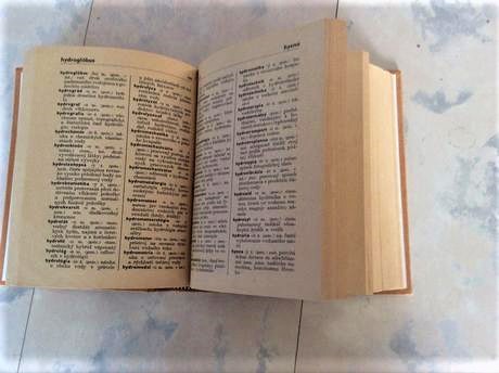 Slovník cudzích slov, 