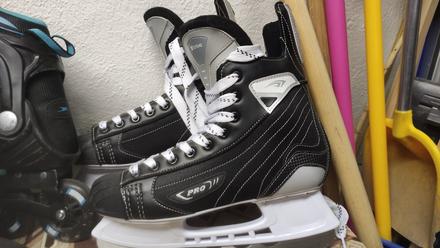 Pánske korčule, 42