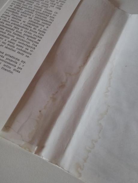 Leto pre tvojich pätnásť rokov, 