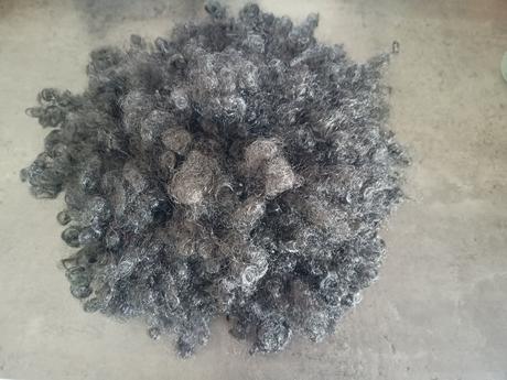 Patochňa na karneval, 