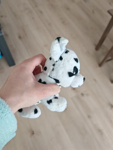 Malý dalmatínko na cesty, do škôlky vhodný,