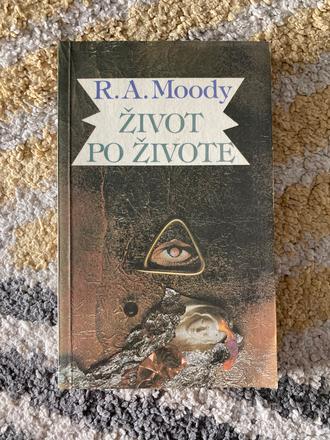 Život po živote moody raymond (1991), 