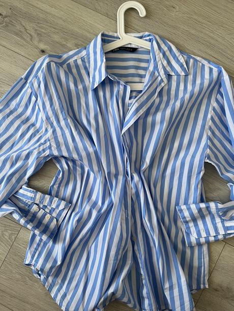 Modra kosela, zara,s