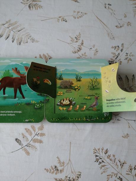 Pozri sa pod okienko huu,