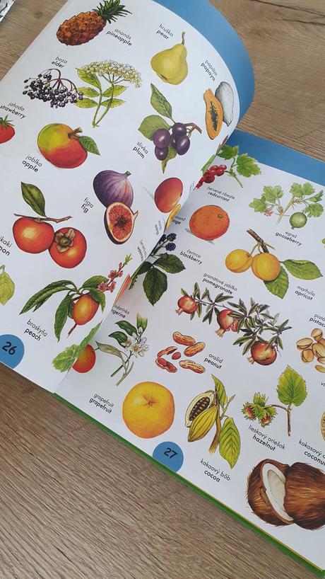 1000 prvých anglických slovíčok, 