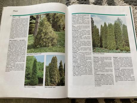 Všetko o ihličnanoch (2001),